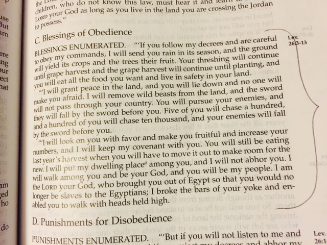 Blessings of Obedience – Leviticus 26, 2015 – Come with me on a Journey ...